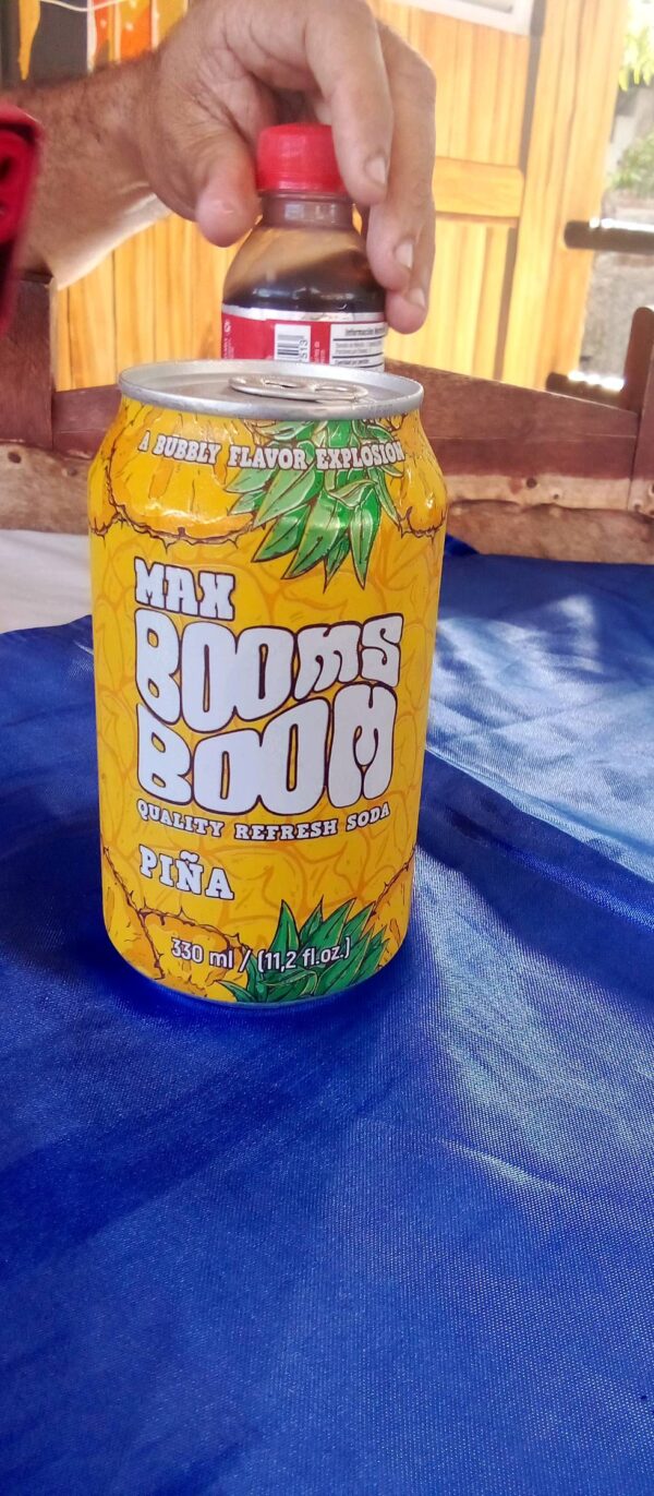 Refresco de varios sabores - Imagen 2
